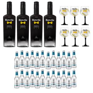 Special pack  4 bottiglie  gin 70 cl 6 coppe e 24 tonic water senxup